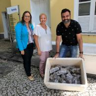 Voluntárias Sociais entregam 120 quilos de marisco para instituições